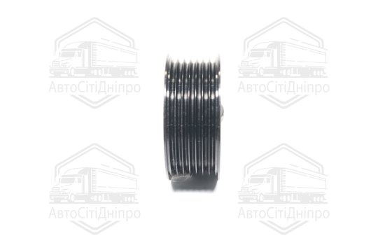 Ролик клинового ременя (Вир-во INA)