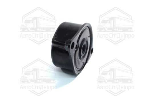 Натягувач ременя BMW (вир-во Ina)