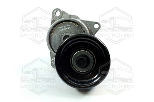 Натяжна планка, полікліновий ремінь NISSAN 11955-6N202 (Вир-во INA)