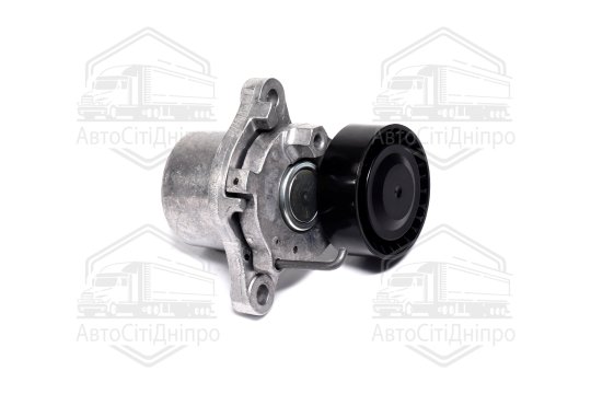 Натяжна планка поліклінового ременя HYUNDAI 25281-2A200 (Вир-во INA)