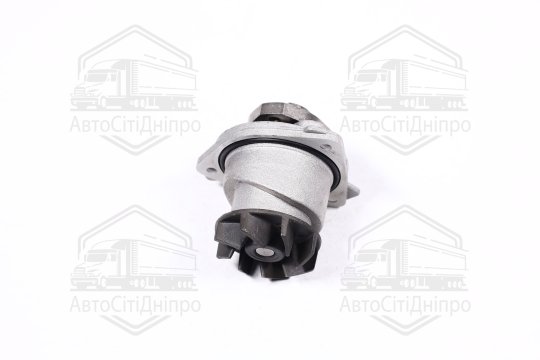 Водяний насос VW TOUAREG (7LA, 7L6, 7L7), 10/02 - 05/10 (Вир-во INA)