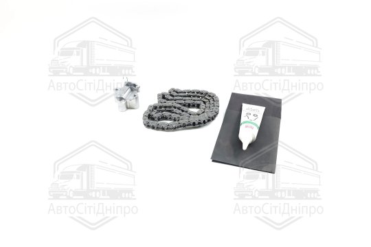Комплект ланцюга з натягувачем FORD/PSA Transit 2,2 TDCI P22DTI 04.2006- 122 ланки (вир-во INA)