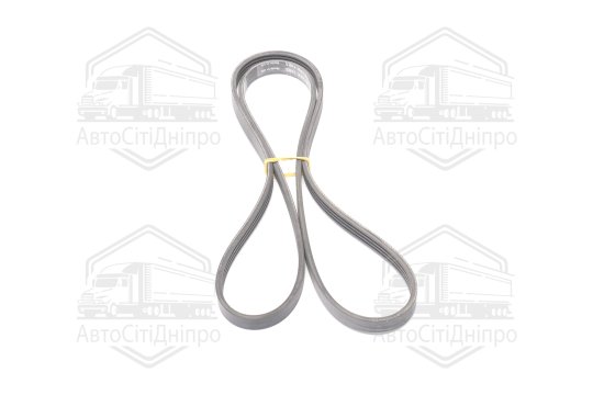 Полікліновий ремінь (Вир-во INA)