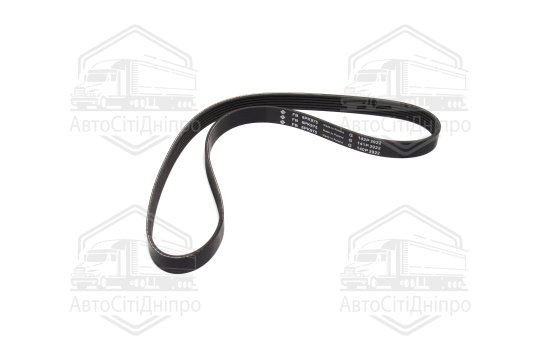 Полікліновий ремінь (Вир-во INA)