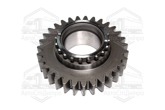 Шестерня валу первинного (Z=31) КПП МТЗ 1221, 1523 (ТМ JUBANA)