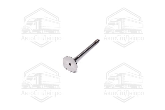 Клапан впускний IN VAG 2.0TDI 29.1X6X87.8 AZV/BKD(вир-во KS)