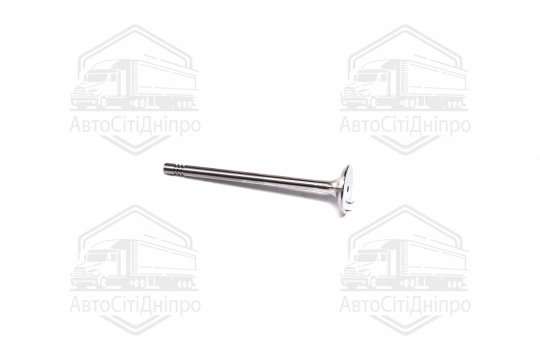 Клапан випускний EX VAG BCA/BLP/ARC/BLF/BKG/BBY/AJV/BLG/ATN/CAVA/CAXA/CAXC 26X6X100.6 (вир-во KS)