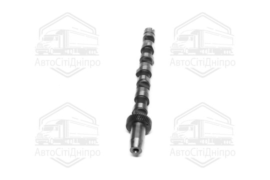 Розподільний вал VAG 2.5TDI AKN/AFB/AKE/AYM/BFC IN (CYL 4-6) (вир-во KS)