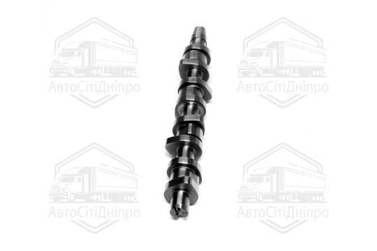 Розподільний вал VAG 1.9TDI 99- AJM/ANU/ARL/ATD/ATJ/ASZ/AVB/AVF/AWX/AXR (вир-во KS)