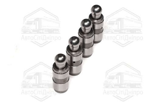 Гідрокомпенсатор PSA  2,1/2,5TD 12V DJ5T/DK5ATE/XUD11ATE -02 (вир-во KS)