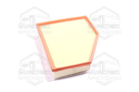 Фільтр повітряний BMW 5 (G30, G31, F90), 7 (G11/G12), X3 (G01), X4 (G02) (вир-во MANN)