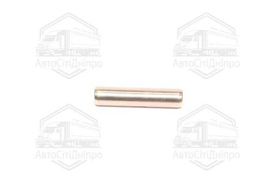 Направляюча клапана IN BMW/PSA/MINI EP3/EP3C/EP6DTS/EP6CDTX/EP6CDT 41X5.01X9.05 (вир-во Metelli)
