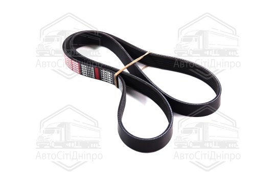 Ремінь поліклиновий (Вир-во MEYLE)