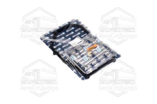 Фільтр масляний АКПП VW PASSAT 4 96-05, AUDI A4, A6 94-05 з прокладкою (вир-во MEYLE)