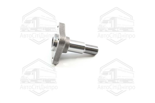 Цапфа осі DACIA LOGAN, RENAULT CLIO II 98- зад. міст (Вир-во MEYLE)