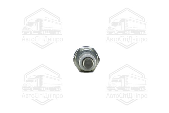 Свічка запалювання AUDI, PORSCHE CAYENNE, VW TRANSPORTER V (вир-во NGK)
