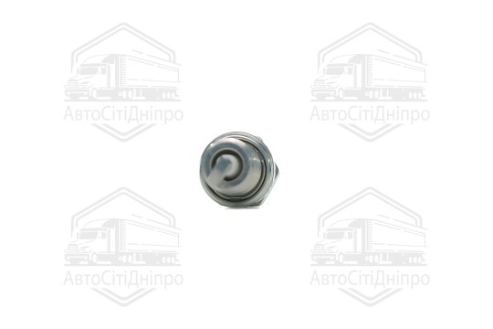 Свічка запалювання FIAT GRANDE PUNTO (1.2,1.4) 05- (вир-во NGK)