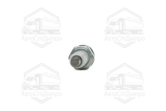 Свічка запалювання FIAT GRANDE PUNTO (1.2,1.4) 05- (вир-во NGK)