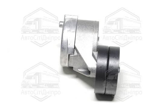 Ролик натяжний ременя поліклінового (Вир-во NTN-SNR)