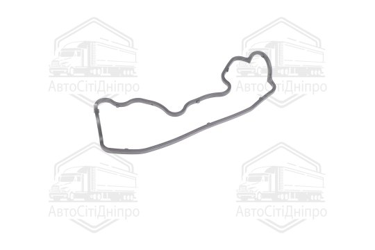 Прокладка клапанної кришки HYUNDAI/MITSUBISHI 3,0 V6 6G72 (SOHC 12V) (2) (вир-во PAYEN)