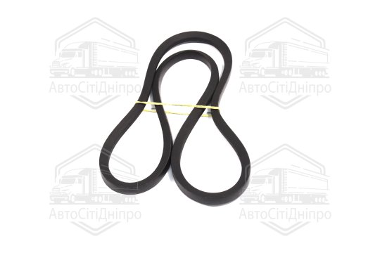 Ремінь 11х10х1250 вентилятора МТЗ 80, -82, СМД 31-01 (RIDER)