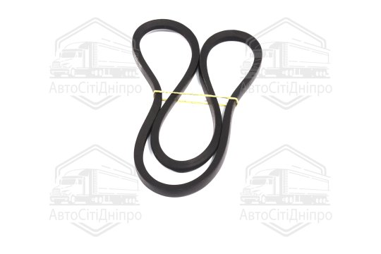 Ремінь 11х10х1250 вентилятора МТЗ 80, -82, СМД 31-01 (RIDER)