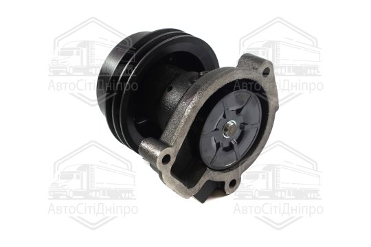 Насос водяний Д 245.10 Professional (RIDER)