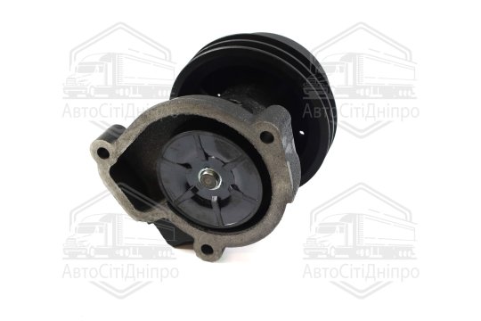 Насос водяний Д 245.10 Professional (RIDER)