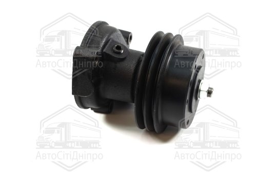 Насос водяний Д 245.10 Professional (RIDER)