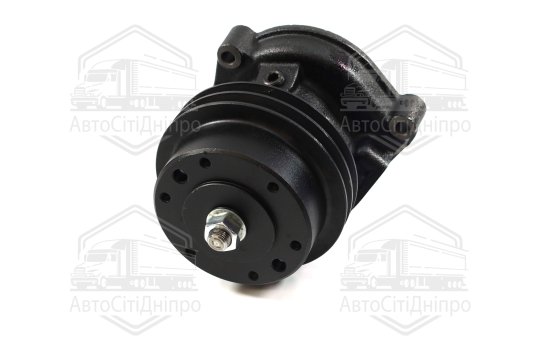 Насос водяний Д 245.10 Professional (RIDER)