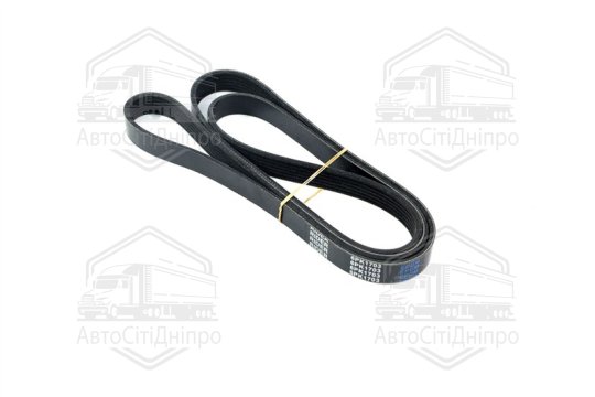 Ремінь 6РК-1703 КАМАЗ Євро 2 (RIDER)
