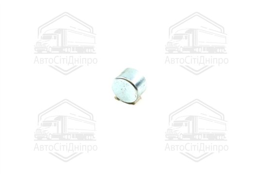 Заглушка шийки шатуна КАМАЗ (RIDER)