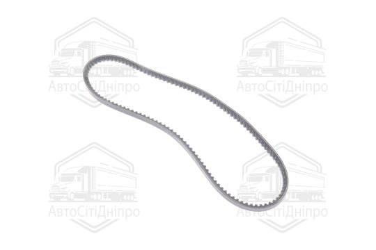 Ремінь AVX10х900 генератора зубч. ГАЗ дв. ЗМЗ-402 (RIDER)