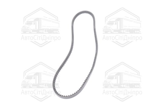 Ремінь AVX10х900 генератора зубч. ГАЗ дв. ЗМЗ-402 (RIDER)