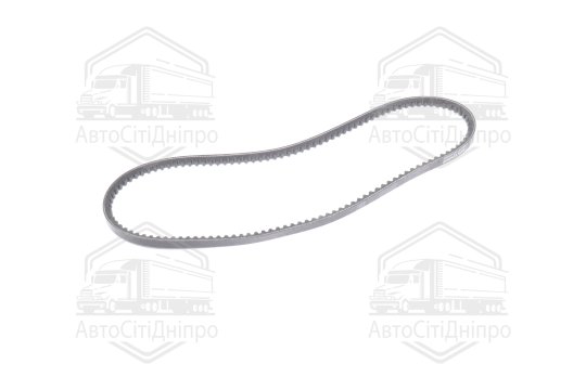 Ремінь AVX10х900 генератора зубч. ГАЗ дв. ЗМЗ-402 (RIDER)