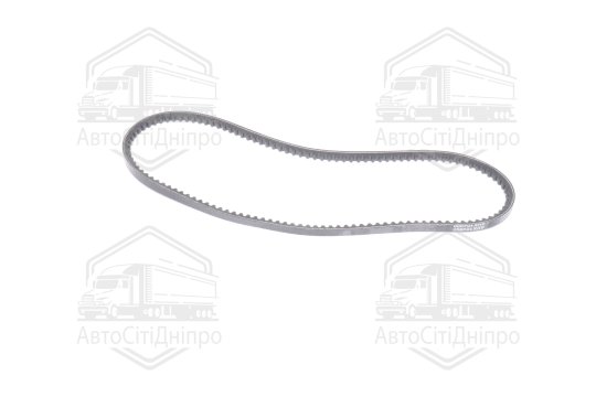 Ремінь AVX10х900 генератора зубч. ГАЗ дв. ЗМЗ-402 (RIDER)