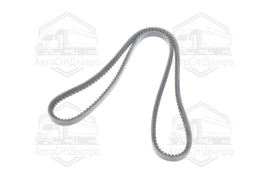 Ремінь AVX13х1400 зубч. ПАЗ 3205 (RIDER)