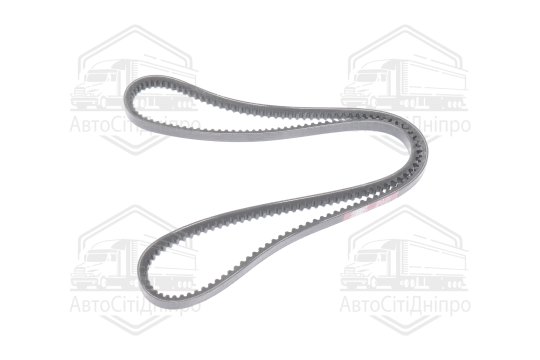 Ремінь AVX13х1400 зубч. ПАЗ 3205 (RIDER)