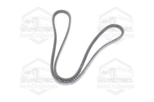 Ремінь AVX13х1400 зубч. ПАЗ 3205 (RIDER)