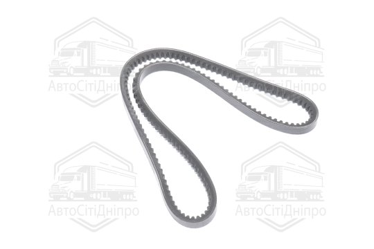 Ремінь AVX13х1018 зубч. ГАЗ 24 (RIDER)