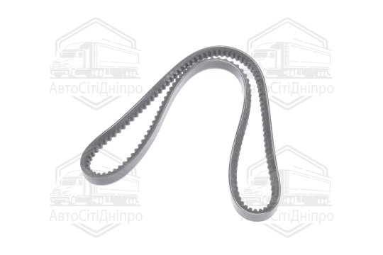 Ремінь AVX13х1018 зубч. ГАЗ 24 (RIDER)