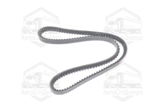 Ремінь AVX13х1018 зубч. ГАЗ 24 (RIDER)