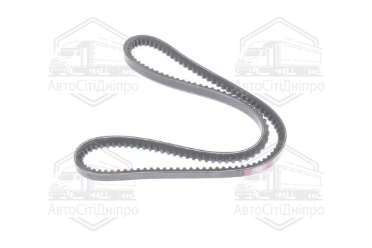 Ремінь AVX13х1018 зубч. ГАЗ 24 (RIDER)
