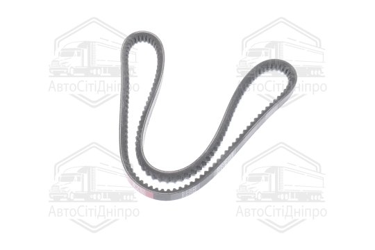 Ремінь AVX13х1018 зубч. ГАЗ 24 (RIDER)