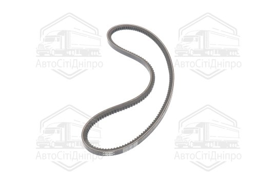 Ремінь AVX13х1030 зубч. Газель (RIDER)