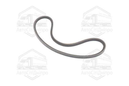 Ремінь AVX13х1030 зубч. Газель (RIDER)