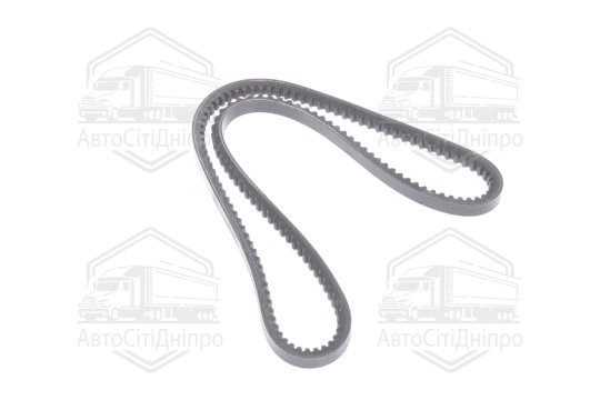 Ремінь AVX13х1030 зубч. ГАЗЕЛЬ (RIDER)