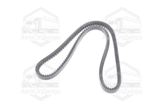 Ремінь AVX13х1030 зубч. ГАЗЕЛЬ (RIDER)