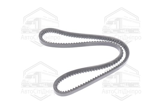 Ремінь AVX13х1030 зубч. ГАЗЕЛЬ (RIDER)