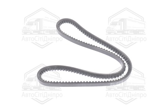 Ремінь AVX13х1030 зубч. ГАЗЕЛЬ (RIDER)
